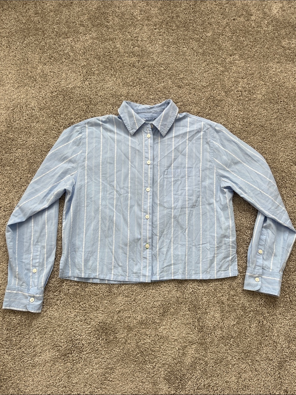 Aerie Light Blue Striped 100% Cotton Button-Up Shirt